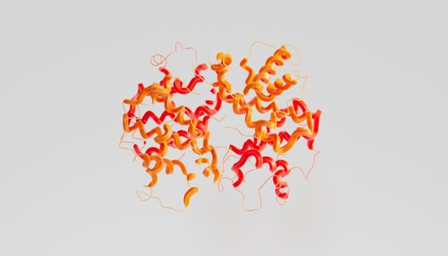 Autophagy: Aktivieren Sie das zelluläre Reinigungssystem Ihres Körpers