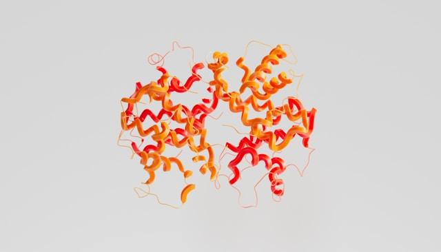 Autofagia: Attivare il sistema di pulizia cellulare del corpo