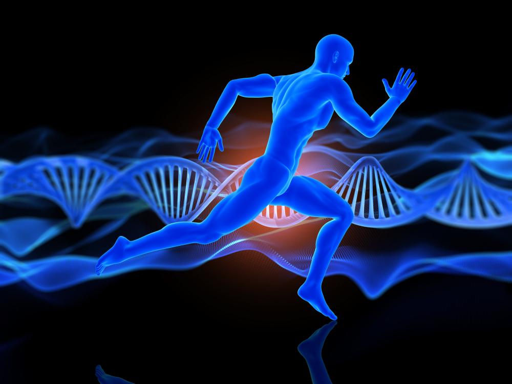 Biohacking Technology 2025: Die besten Tools, Geräte und Tracker für Spitzenleistung