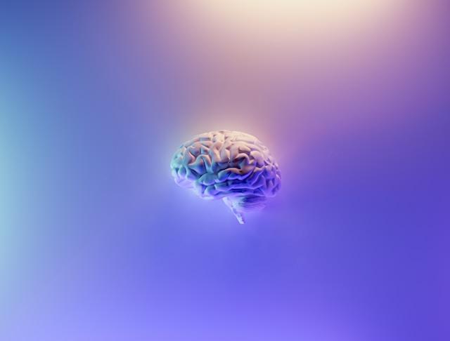 ¿Qué significa neurodivergente? Guía completa de definiciones