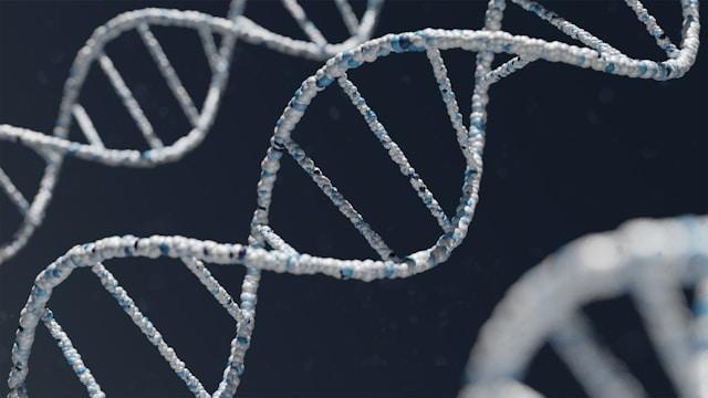 SelfDecode Review: AI-Powered DNA & Precision Health Analysis