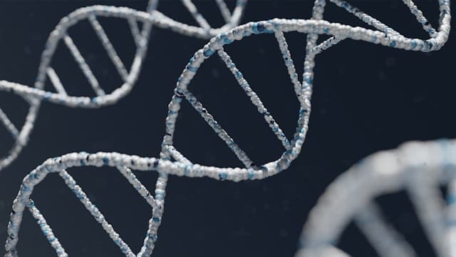 SelfDecode Review: AI-Powered DNA & Precision Health Analysis
